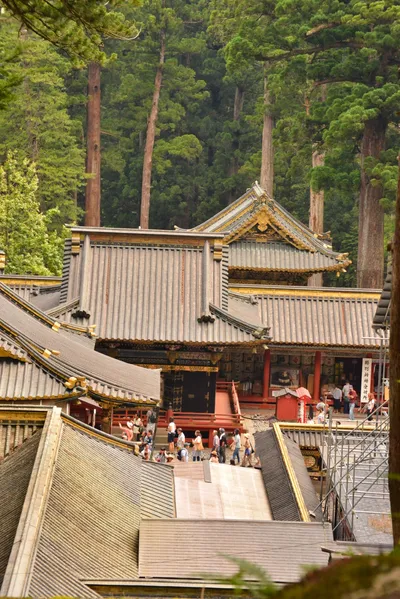 DSC_3887 (Large).JPG